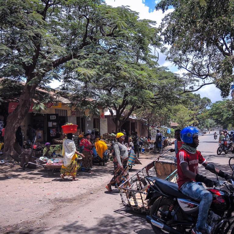 16585431_1853062931642206_8302962563956604928_n