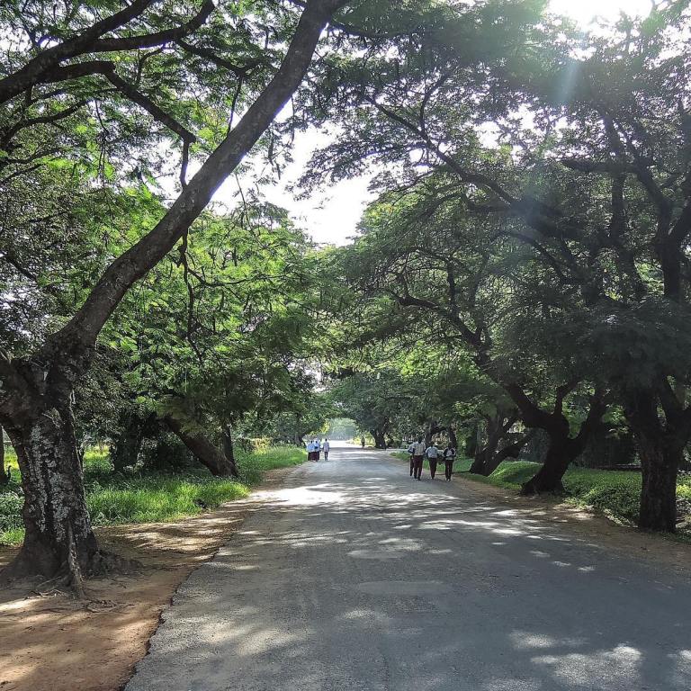 16790336_108760176284196_2678736412064350208_n