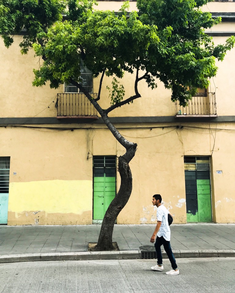 38c346da-e493-41ca-801b-9140a010b3a0