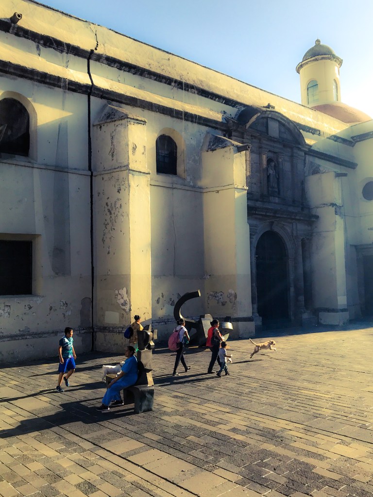 986fa863-e97a-4a04-9baa-5cc4eecbedc0