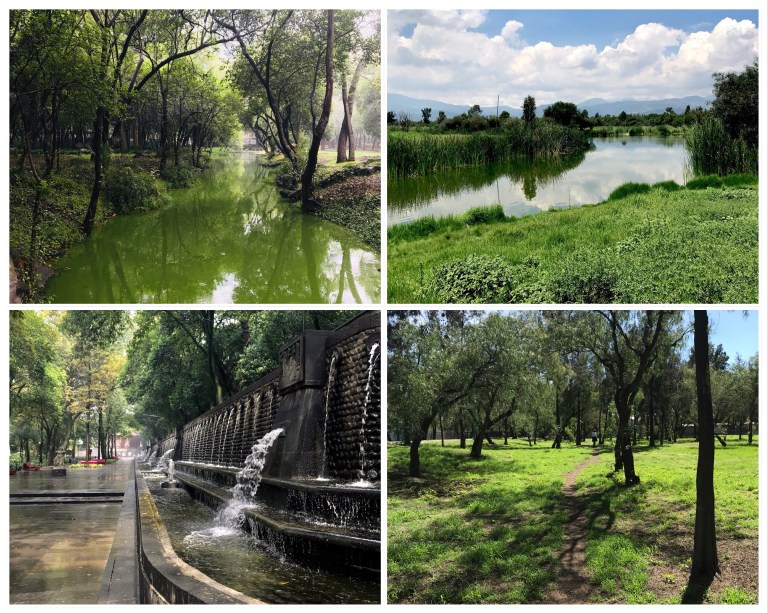 35a5f7e6-fb22-424a-bbb2-b30f45e04af6